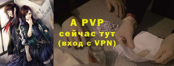 соль ск Гусиноозёрск