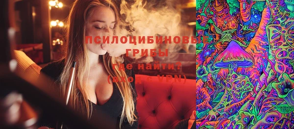 мет Дмитриев