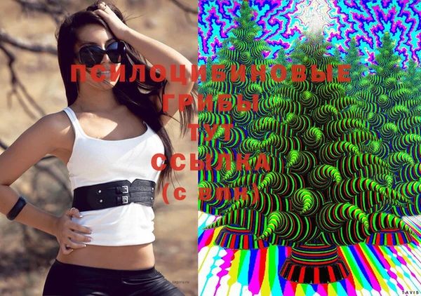 прущая мука Гусь-Хрустальный