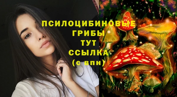 соль ск Гусиноозёрск