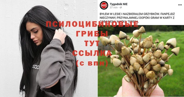 прущая мука Гусь-Хрустальный