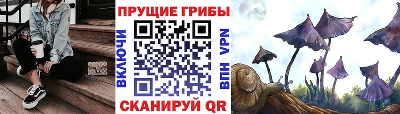 Псилоцибиновые грибы Magic Shrooms Купить закладки Поронайск